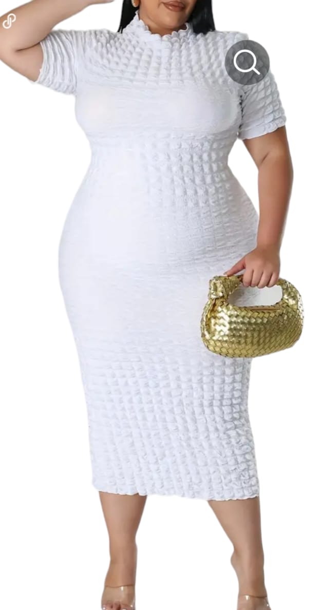 elegant dress woman's Plus solid short sleeve high neck skinny mini dress.